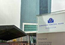 Eurobonos gracias a ley de la gravedad | Economía