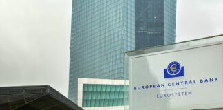 Eurobonos gracias a ley de la gravedad | Economía