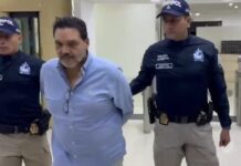 El ‘operador’ del caso Encuentro, Gabriel Nain Massuh, es puesto en libertad en Colombia; fiscal general de ese país cancela ‘orden de captura con fines de extradición’ | Política | Noticias