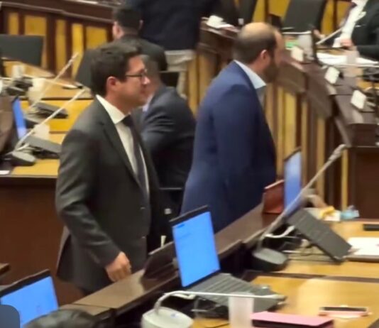 Dos asambleístas de RC y ADN se retan a golpes en la Asamblea Nacional mientras se debatía resolución sobre la democracia en Venezuela | Política | Noticias
