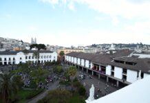 Rendición de cuentas 2024: el 4 % de las instituciones y autoridades no rindió cuentas | Política | Noticias