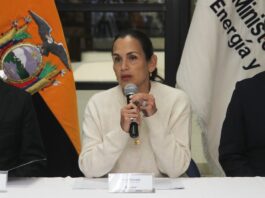 “No estamos ante un escenario de cortes energéticos”, asegura Inés Manzano, tras variación de nivel de embalses | Política | Noticias