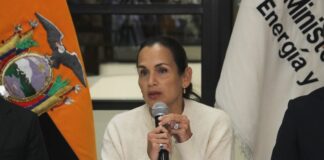 “No estamos ante un escenario de cortes energéticos”, asegura Inés Manzano, tras variación de nivel de embalses | Política | Noticias