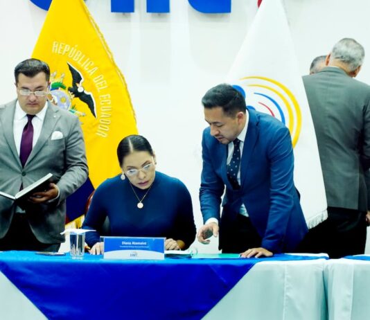 Concurso para elegir dos consejeros electorales pasa a revisión del Consejo de Participación Ciudadana | Política | Noticias