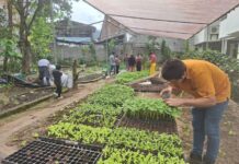 Proyecto de educación ambiental certificó a más de 9.300 personas en 16 provincias del país | Política | Noticias