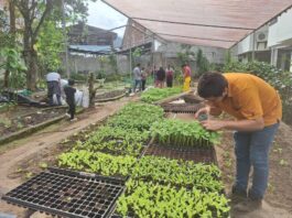 Proyecto de educación ambiental certificó a más de 9.300 personas en 16 provincias del país | Política | Noticias