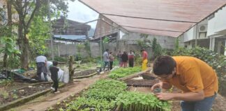 Proyecto de educación ambiental certificó a más de 9.300 personas en 16 provincias del país | Política | Noticias