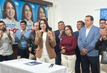 A un mes de la convención de la Revolución Ciudadana, hay dos precandidaturas en debate por ahora: Felipe Vega y Luisa González | Política | Noticias