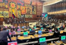 Oficialismo niega contratación de la empresa HealthBird, mientras que el correísmo y la Contraloría investigan | Política | Noticias