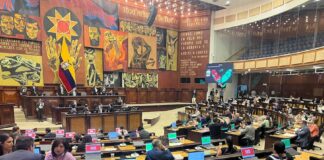 Oficialismo niega contratación de la empresa HealthBird, mientras que el correísmo y la Contraloría investigan | Política | Noticias