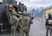 Versiones de testigos ubican a alias ‘Gordo Luis’, de Los Lobos, en el ‘esquema delictivo’ que terminó con la vida de Fernando Villavicencio | Noticias |