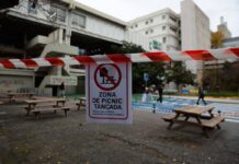 Convivir con la peste porcina en el campus universitario: “Ha venido de golpe, como la pandemia” | Noticias de Cataluña