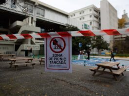 Convivir con la peste porcina en el campus universitario: “Ha venido de golpe, como la pandemia” | Noticias de Cataluña