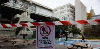 Convivir con la peste porcina en el campus universitario: “Ha venido de golpe, como la pandemia” | Noticias de Cataluña