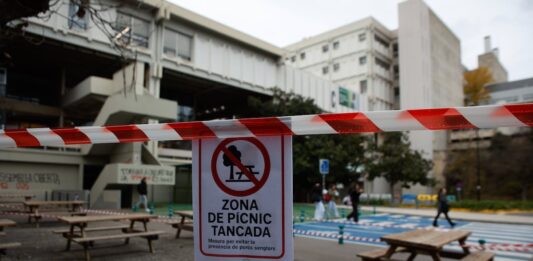 Convivir con la peste porcina en el campus universitario: “Ha venido de golpe, como la pandemia” | Noticias de Cataluña