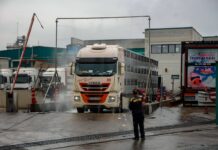 Crece la inquietud entre los trabajadores del sector porcino tras los primeros despidos por la peste: “Los ERTE serán cruciales” | Noticias de Cataluña