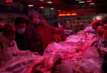 China golpea con aranceles de hasta el 19,8% al cerdo europeo en represalia por las tasas de la UE al coche eléctrico pero excluye al jamón ibérico | Internacional