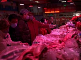 China golpea con aranceles de hasta el 19,8% al cerdo europeo en represalia por las tasas de la UE al coche eléctrico pero excluye al jamón ibérico | Internacional