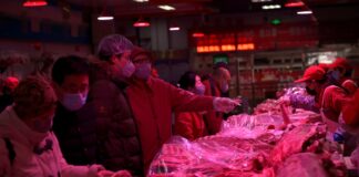 China golpea con aranceles de hasta el 19,8% al cerdo europeo en represalia por las tasas de la UE al coche eléctrico pero excluye al jamón ibérico | Internacional