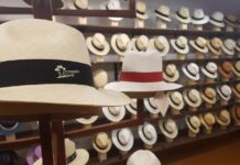 Correísmo propone elevar el sombrero de paja toquilla a símbolo de prevención del cáncer de piel | Política | Noticias