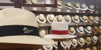 Correísmo propone elevar el sombrero de paja toquilla a símbolo de prevención del cáncer de piel | Política | Noticias