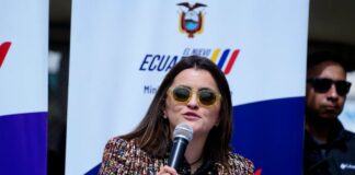 Daniel Noboa delega a María José Pinto como presidenta del Comité para la Prevención y Reducción de la Desnutrición Infantil | Política | Noticias