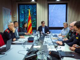 La Generalitat encarga una auditoría ante las sospechas de que el virus de peste porcina escapara de un laboratorio público | Noticias de Cataluña