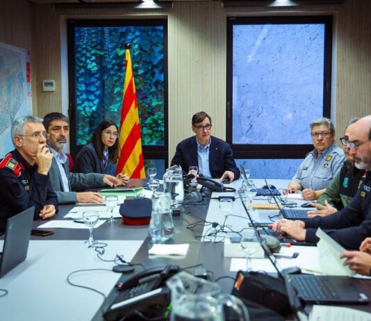 La Generalitat encarga una auditoría ante las sospechas de que el virus de peste porcina escapara de un laboratorio público | Noticias de Cataluña