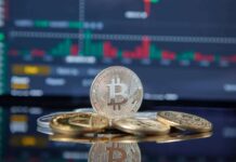 Asesorar sobre criptoactivos, un riesgo reputacional que pocas entidades quieren asumir | Criptoactivos