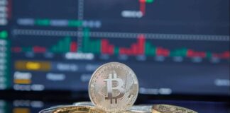 Asesorar sobre criptoactivos, un riesgo reputacional que pocas entidades quieren asumir | Criptoactivos