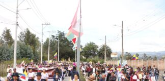 Movimiento indígena de Imbabura se mantiene en resistencia ante las políticas de Daniel Noboa, mientras el sector comercial busca una verdadera reactivación, ¿qué pasa en la provincia un mes después del paro? | Política | Noticias