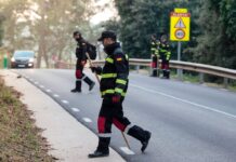 Trabajo abre la puerta a usar los ERTE de fuerza mayor en empresas que se vean afectadas por la peste porcina | Economía