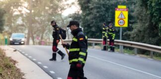 Trabajo abre la puerta a usar los ERTE de fuerza mayor en empresas que se vean afectadas por la peste porcina | Economía