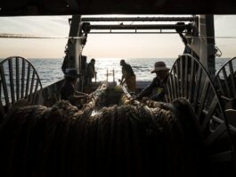 Los armadores, sobre el acuerdo de pesca: “Era imposible conseguir un resultado mejor” | Economía