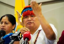 La Conaie pide que las investigaciones avancen para establecer ‘responsabilidades políticas’ en el caso Las Malvinas | Política | Noticias