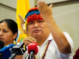 La Conaie pide que las investigaciones avancen para establecer ‘responsabilidades políticas’ en el caso Las Malvinas | Política | Noticias