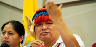 Conaie pide al Gobierno que declare la emergencia ambiental en Napo por contaminación minera | Política | Noticias