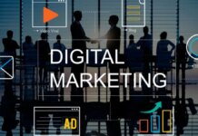 auge de perfiles No Code y WordPress