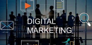 auge de perfiles No Code y WordPress