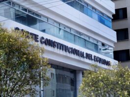 Estos son los argumentos de la CC que evitan la concesión privada de los servicios de energía eléctrica | Política | Noticias