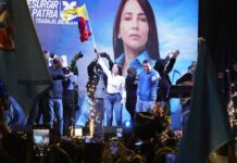 ¿Quién responde por el dinero de una campaña?: esto dice el Código de la Democracia | Política | Noticias