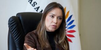 Mishel Mancheno: El juicio político a Mario Godoy garantiza transparencia | Política | Noticias