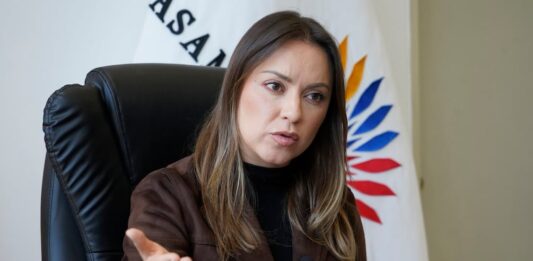 Mishel Mancheno: El juicio político a Mario Godoy garantiza transparencia | Política | Noticias
