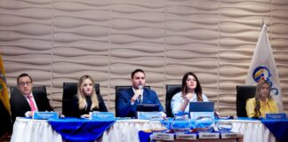 Elecciones 2027: candidatos a consejeros de Participación Ciudadana con vía libre para postularse a otros cargos y menos restricciones para sus campañas políticas