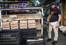 El regreso de la economía por la fuerza | Economía