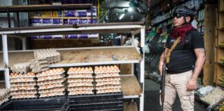 El regreso de la economía por la fuerza | Economía