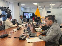 ADN activa investigación sobre financiamiento de campaña electoral presidencial de Luisa González | Política | Noticias