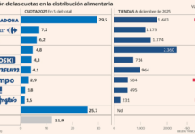 Mercadona abre más brecha con sus rivales en un año de gasto récord en la cesta de la compra | Empresas
