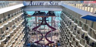 Navantia se prepara para otro año récord de reparaciones de cruceros en los astilleros de Cádiz | Empresas