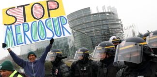 El Parlamento Europeo frena la aprobación del pacto comercial con Mercosur | Economía